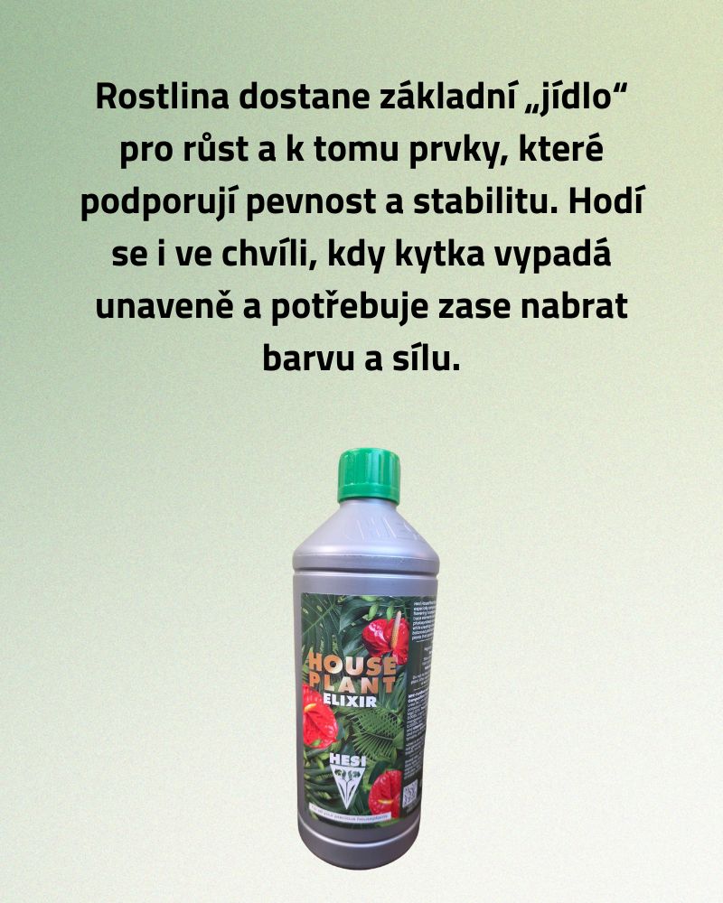 Hesi, Elixír pro pokojové květiny